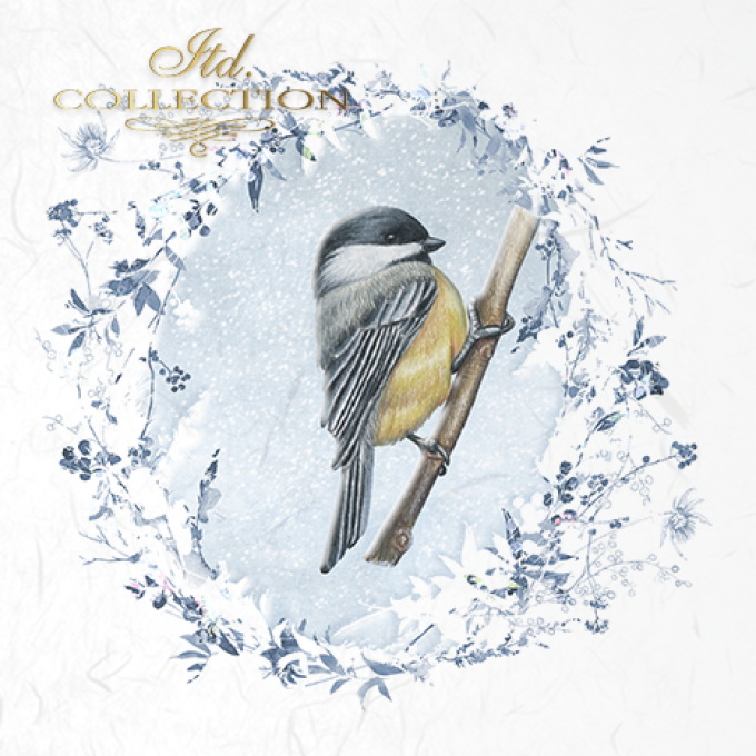 Papier de Riz Les oiseaux du Jardin x 6 RSM050
