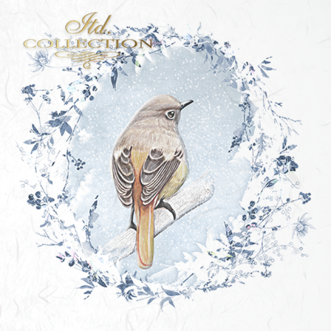 Papier de Riz Les oiseaux du Jardin x 6 RSM050