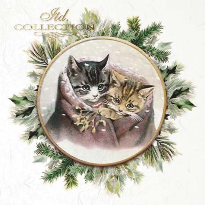 Papier de Riz Couronnes Chatons x 6 RSM091