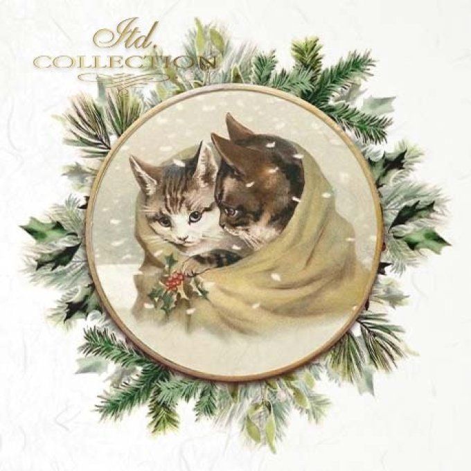 Papier de Riz Couronnes Chatons x 6 RSM091