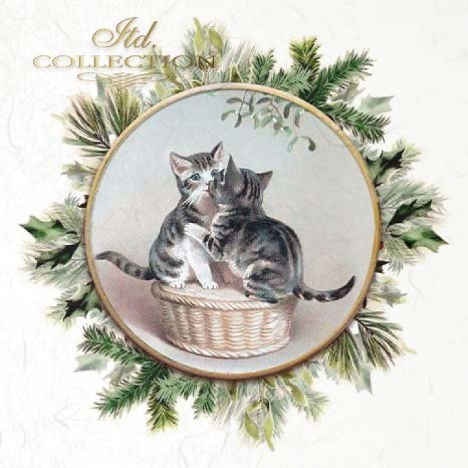 Papier de Riz Couronnes Chatons x 6 RSM091
