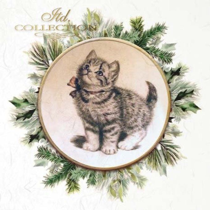 Papier de Riz Couronnes Chatons x 6 RSM091