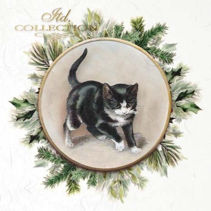 Papier de Riz Couronnes Chatons x 6 RSM091