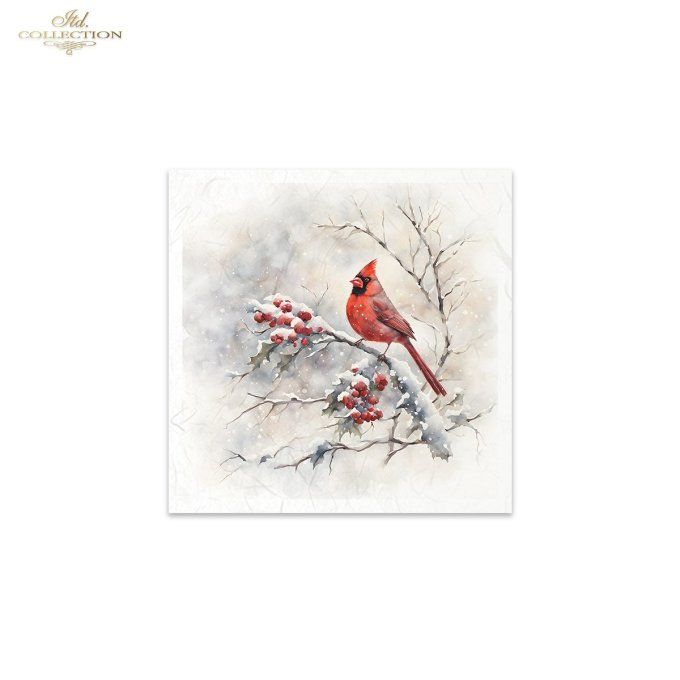 Papier de Riz Cardinal x 6 RSM147