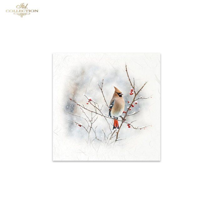 Papier de Riz Cardinal x 6 RSM147
