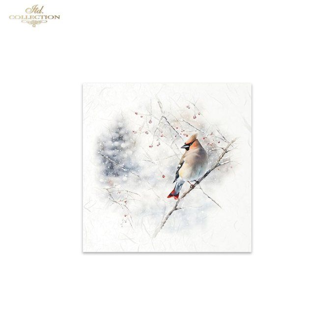 Papier de Riz Cardinal x 6 RSM147