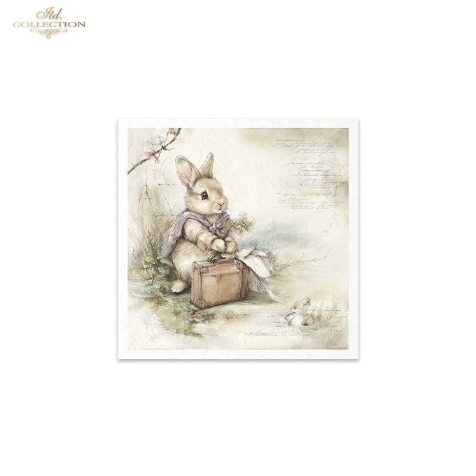 Papier de Riz Missives RSM247