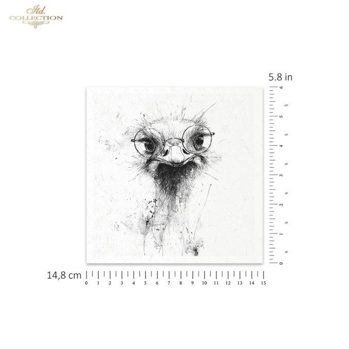 Papier de Riz Bêtes à Lunettes RSM253
