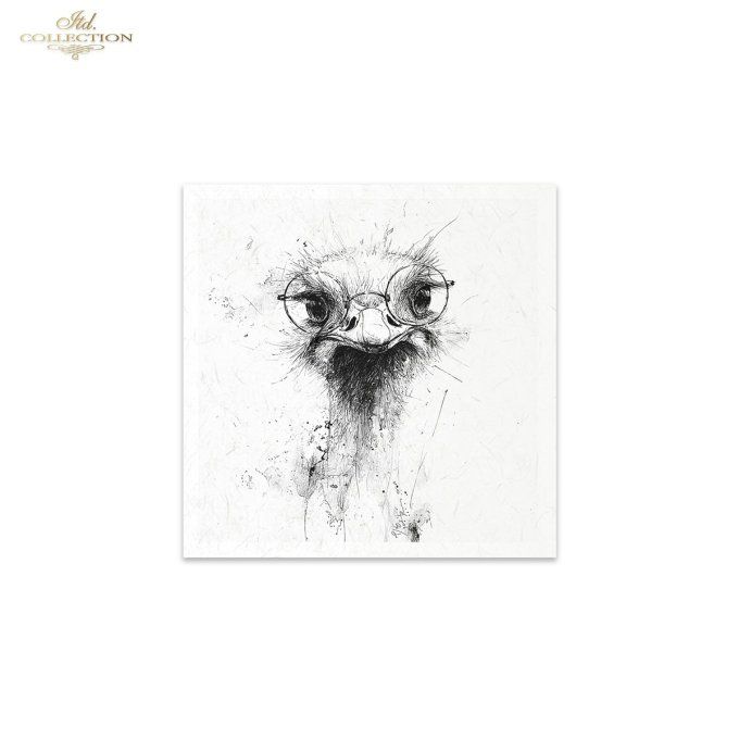 Papier de Riz Bêtes à Lunettes RSM253