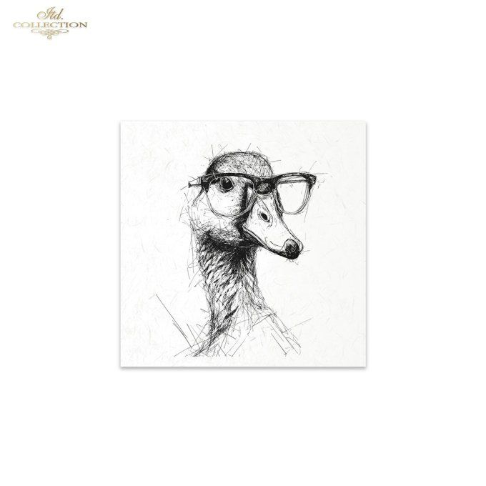 Papier de Riz Bêtes à Lunettes RSM253