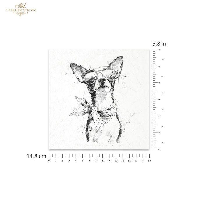 Papier de Riz Bêtes à binocles RSM255