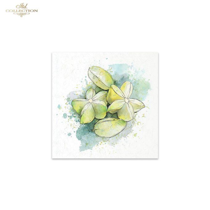 Papier de Riz Fruits Exotiques RSM267