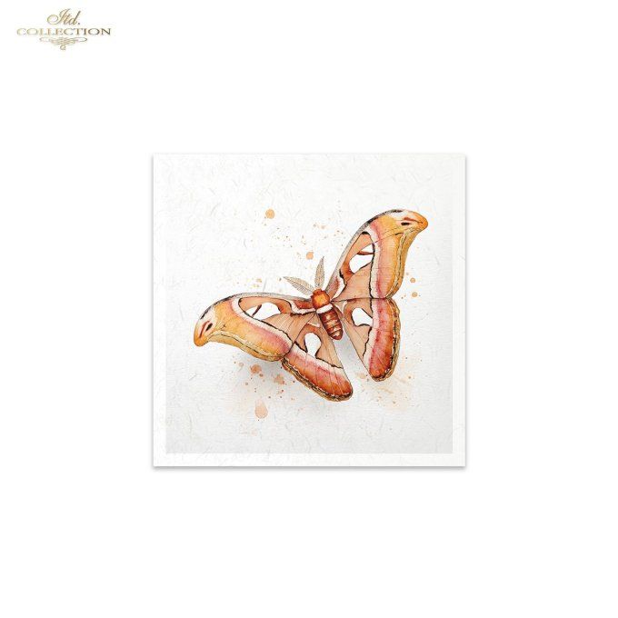Papier de Riz Collection de Papillons RSM270