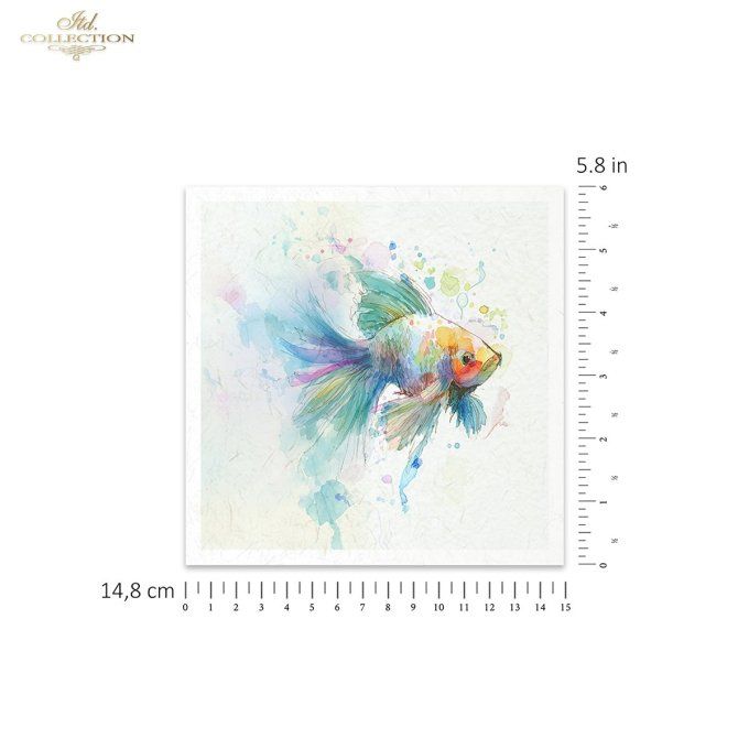Papier de Riz Poissons Tropicaux RSM271