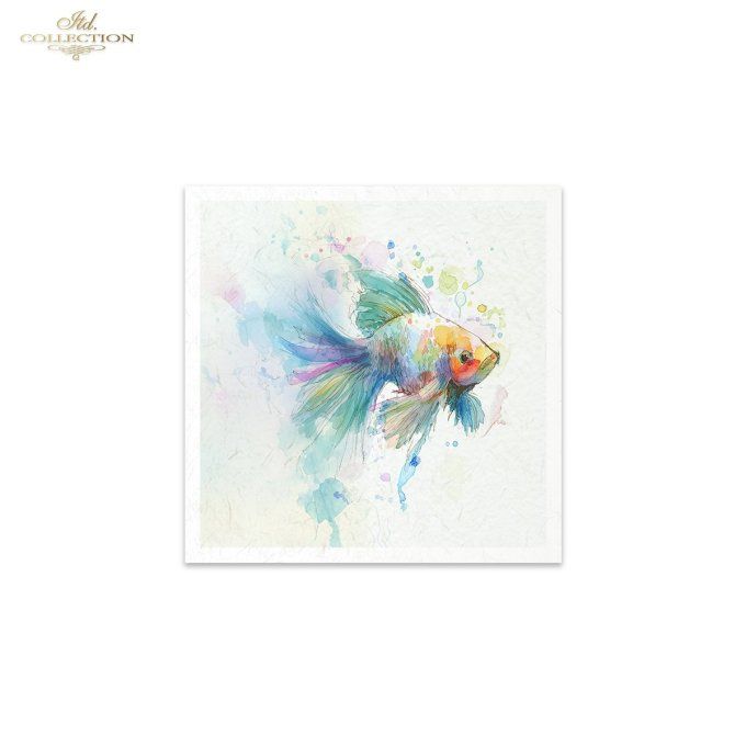 Papier de Riz Poissons Tropicaux RSM271