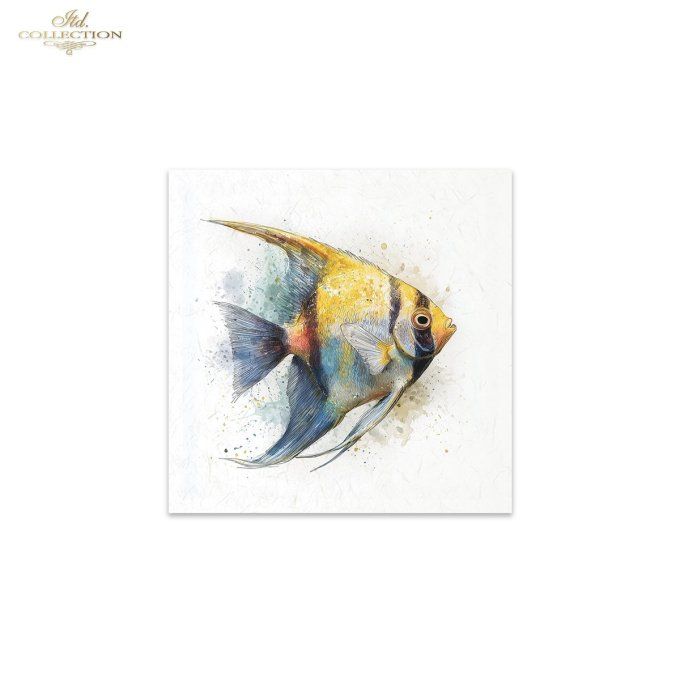 Papier de Riz Poissons Tropicaux RSM271