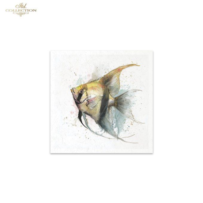 Papier de Riz Poissons Tropicaux RSM271