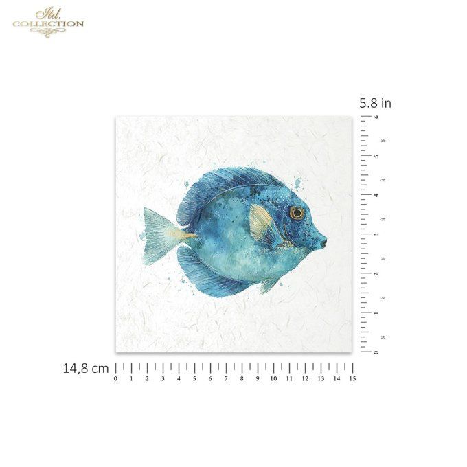 Papier de Riz Poissons exotiques RSM273