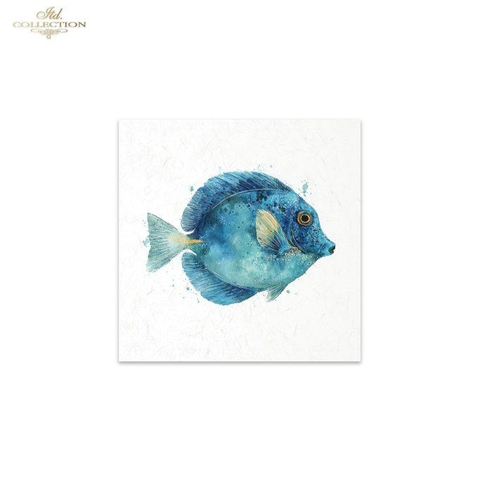 Papier de Riz Poissons exotiques RSM273