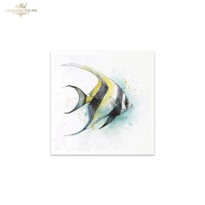 Papier de Riz Poissons exotiques RSM273