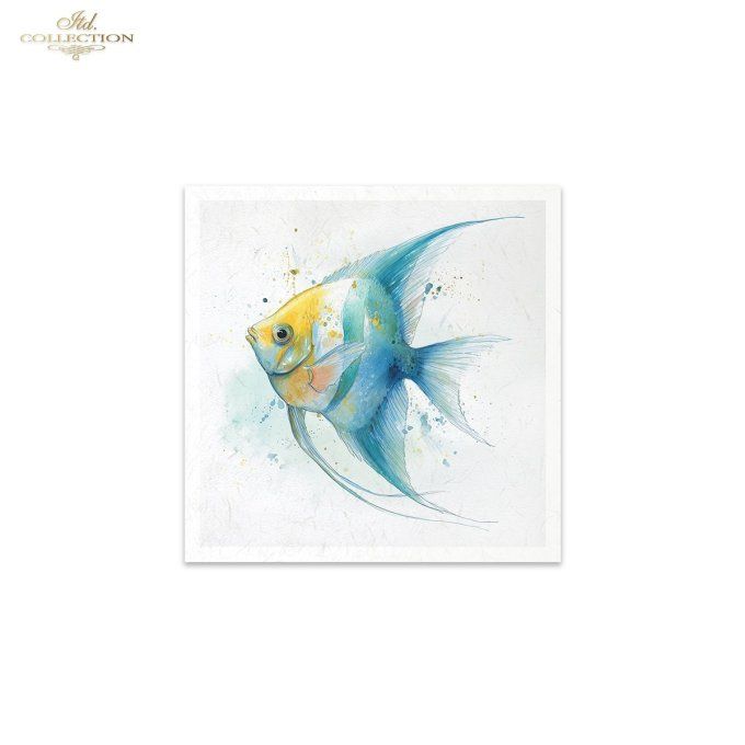 Papier de Riz Poissons exotiques RSM273