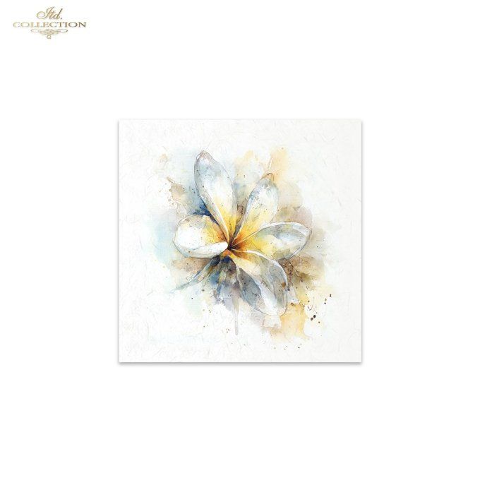 Papier de Riz Fleurs tropicales RSM279