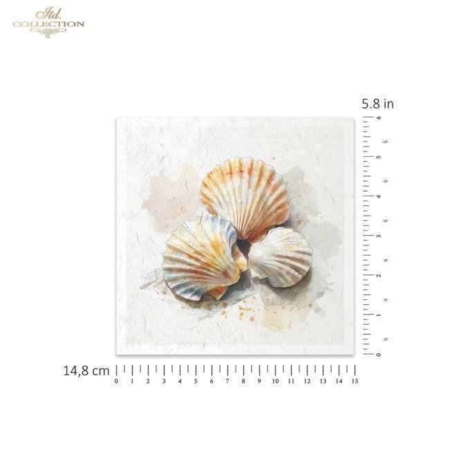 Papier de Riz Coquillages RSM282