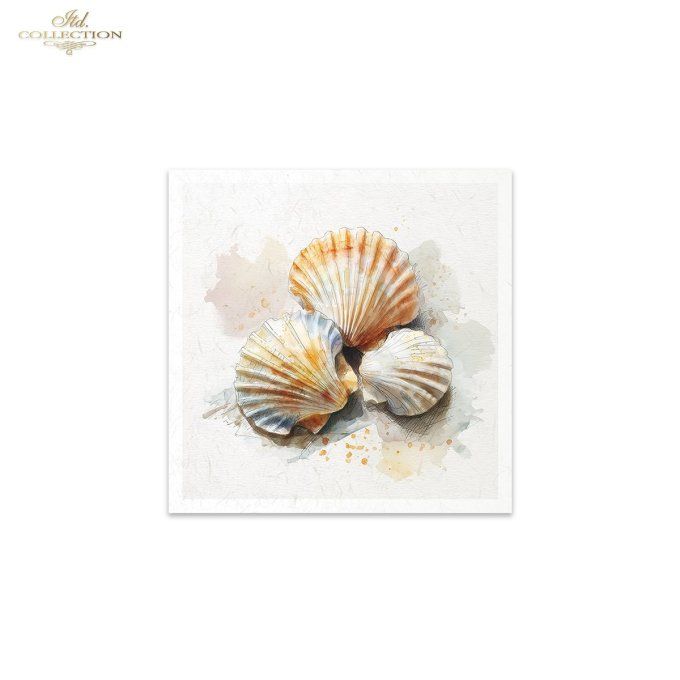 Papier de Riz Coquillages RSM282