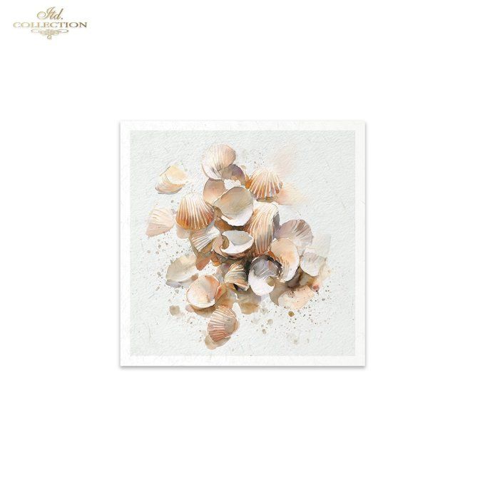 Papier de Riz Coquillages RSM282
