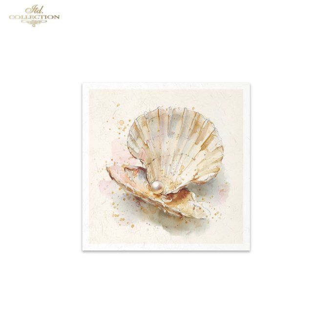 Papier de Riz Coquillages RSM282