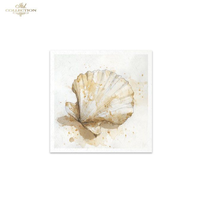 Papier de Riz Coquillages RSM282
