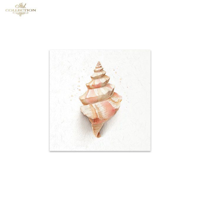 Papier de Riz Coquillages RSM282