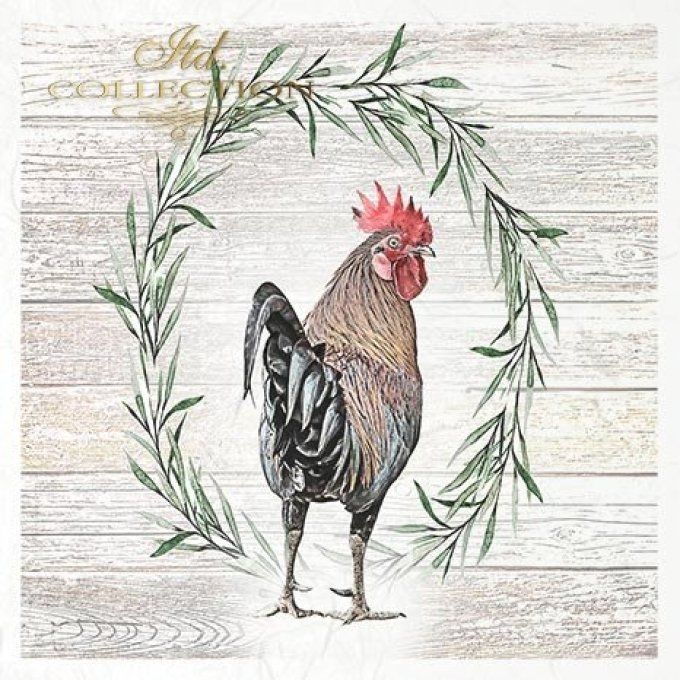 Papier de Riz Famille Poule x 6 RSM056