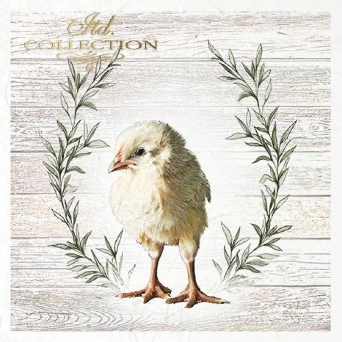 Papier de Riz Famille Poule x 6 RSM056