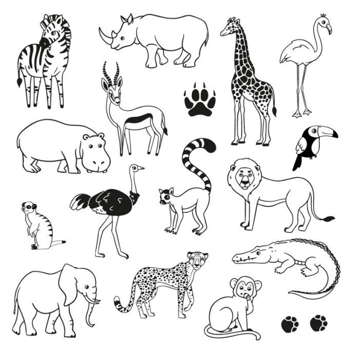 Stampo FUNNY Savane
