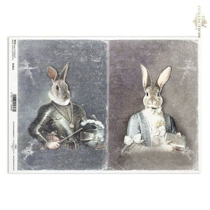 Papier de Riz Lapins habillés R1813