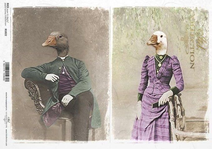 Papier de Riz Canards costumés R1822